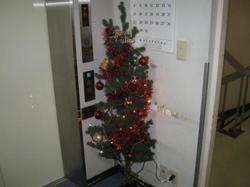 ブログB3−5IMG_3896.jpg