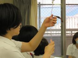 ブログ用GIMG_0015.jpg