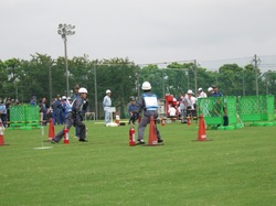 IMG_0149 2.jpg